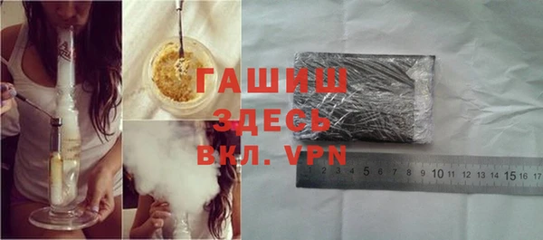 винт Галич