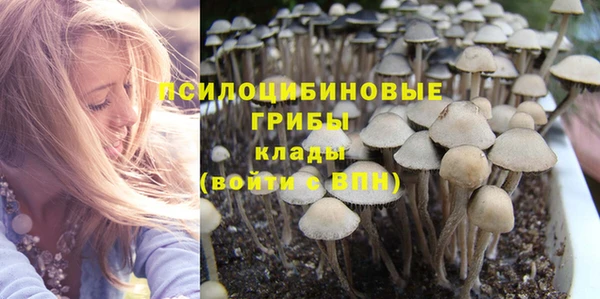 прущие крисы Протвино