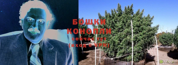 прущие крисы Протвино