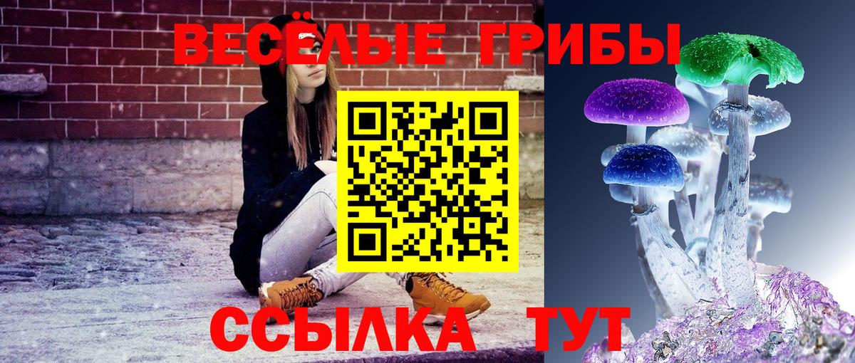 Псилоцибиновые грибы прущие грибы  Псилоцибиновые грибы Psilocybine cubensis  Балахна  Вход с VPN 