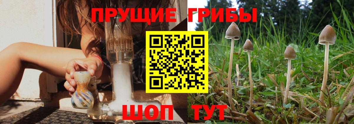 Псилоцибиновые грибы Magic Shrooms Балахна