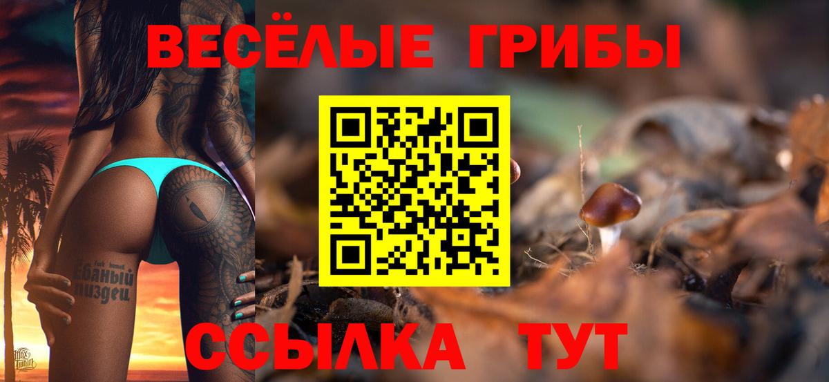 Галлюциногенные грибы мицелий Балахна